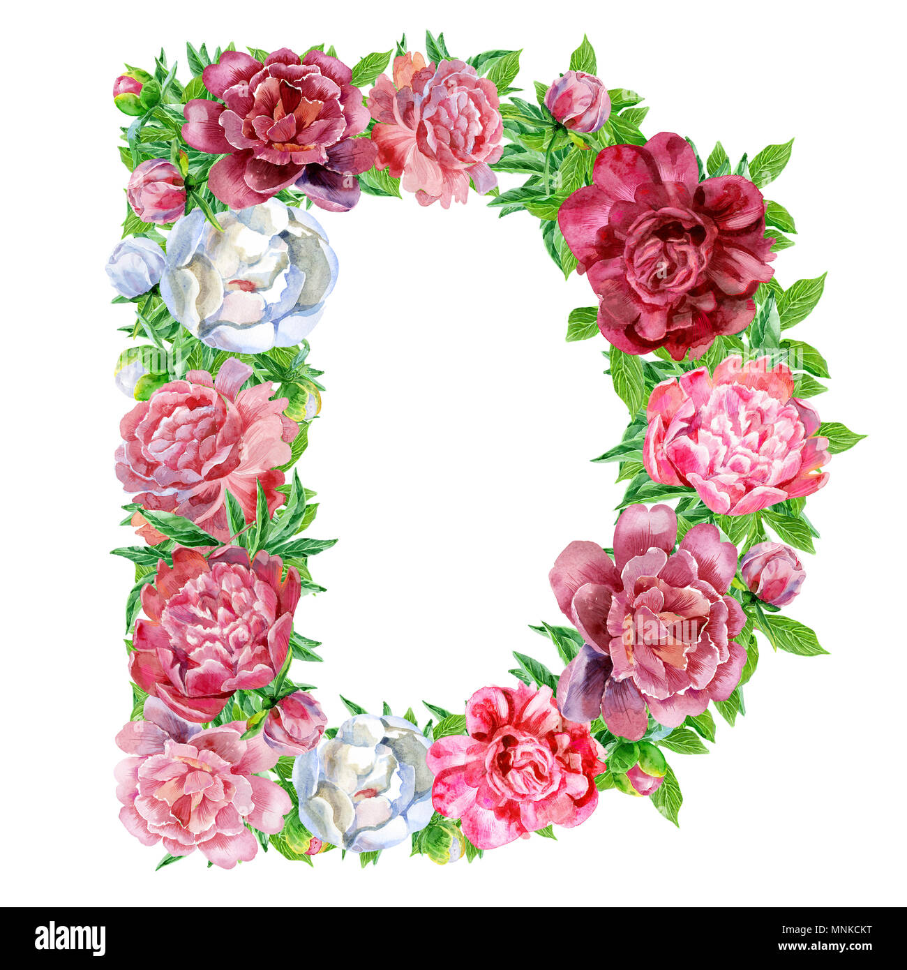 Letter D of watercolor flowers, isolated hand drawn on a white background, wedding design, english alphabet Stock Photo