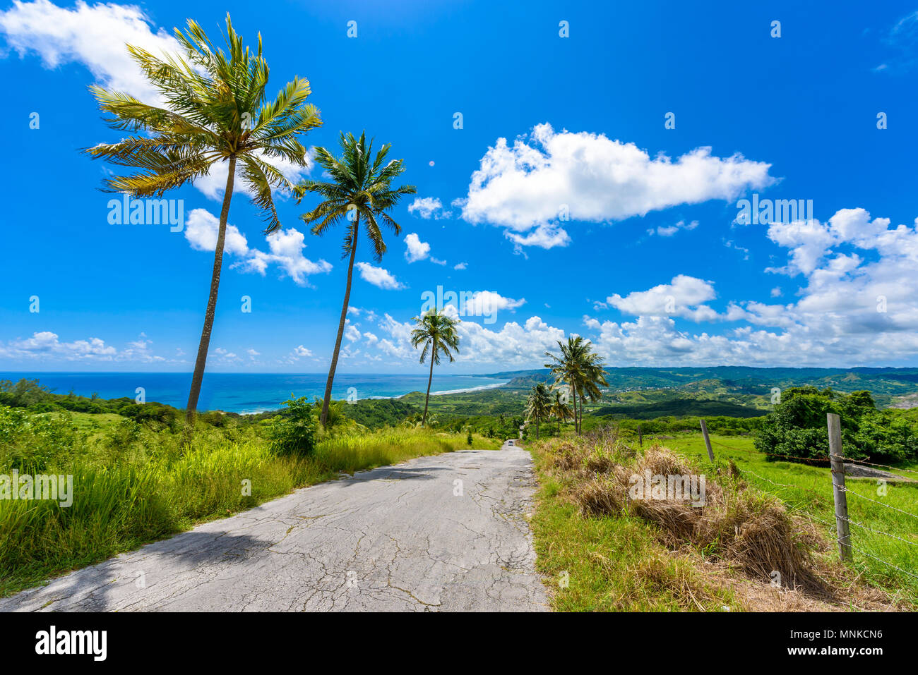 View from Cherry Tree Hill to tropical coast of caribbean island