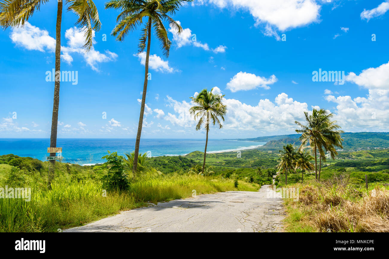 Barbados cherry tree hill road hires stock photography and images Alamy