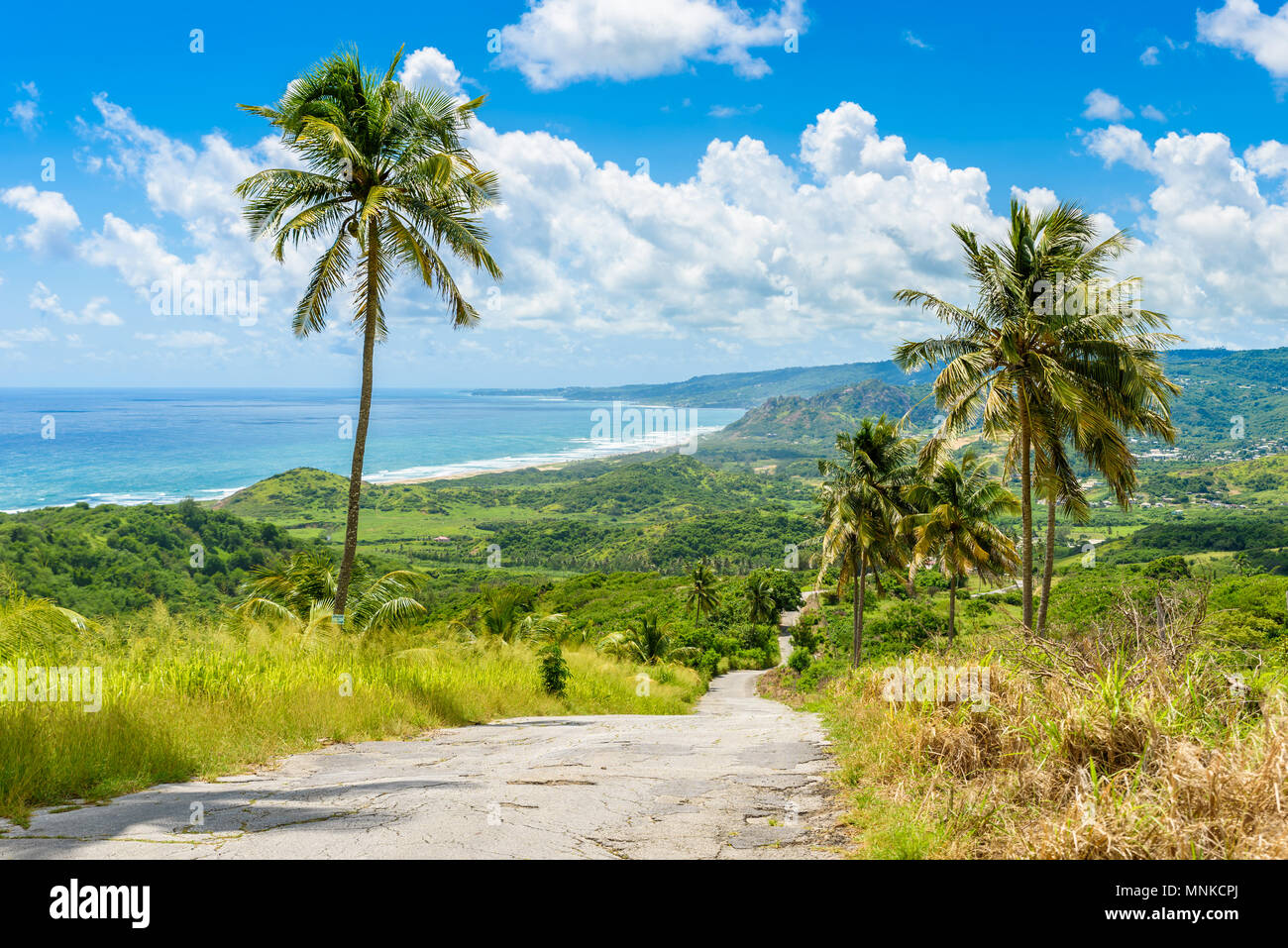 View from Cherry Tree Hill to tropical coast of caribbean island
