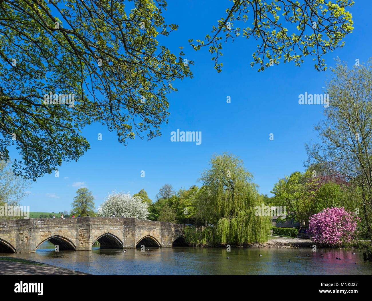 Historic 13th century bridge over the River Wye in Bakewell, Derbyshire, England, UK Stock Photo