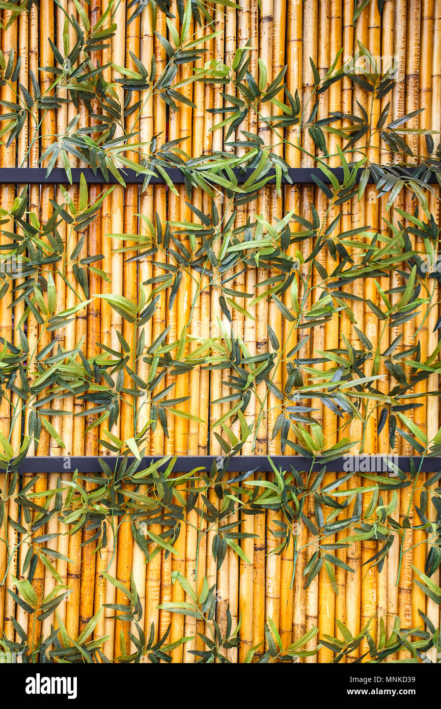 Fence of bamboo, green plants Stock Photo Alamy