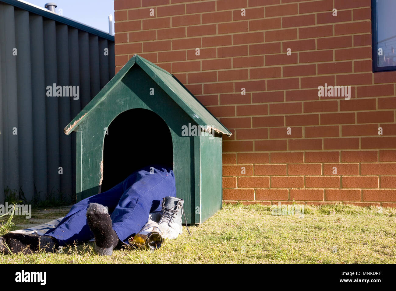 what-is-dog-house-called