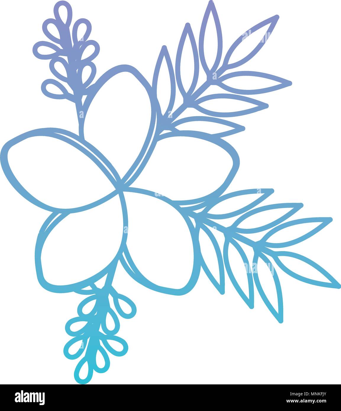flowers and leafs decoratives Stock Vector Image & Art - Alamy