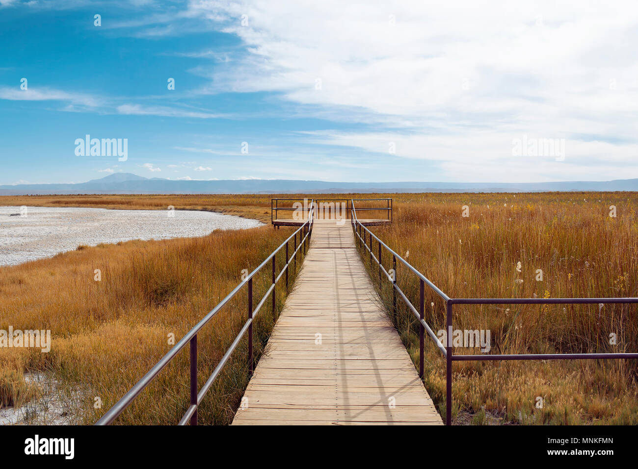 Minimalistic landscape with wooden walkway at Laguna Cejar, Chile Stock Photo