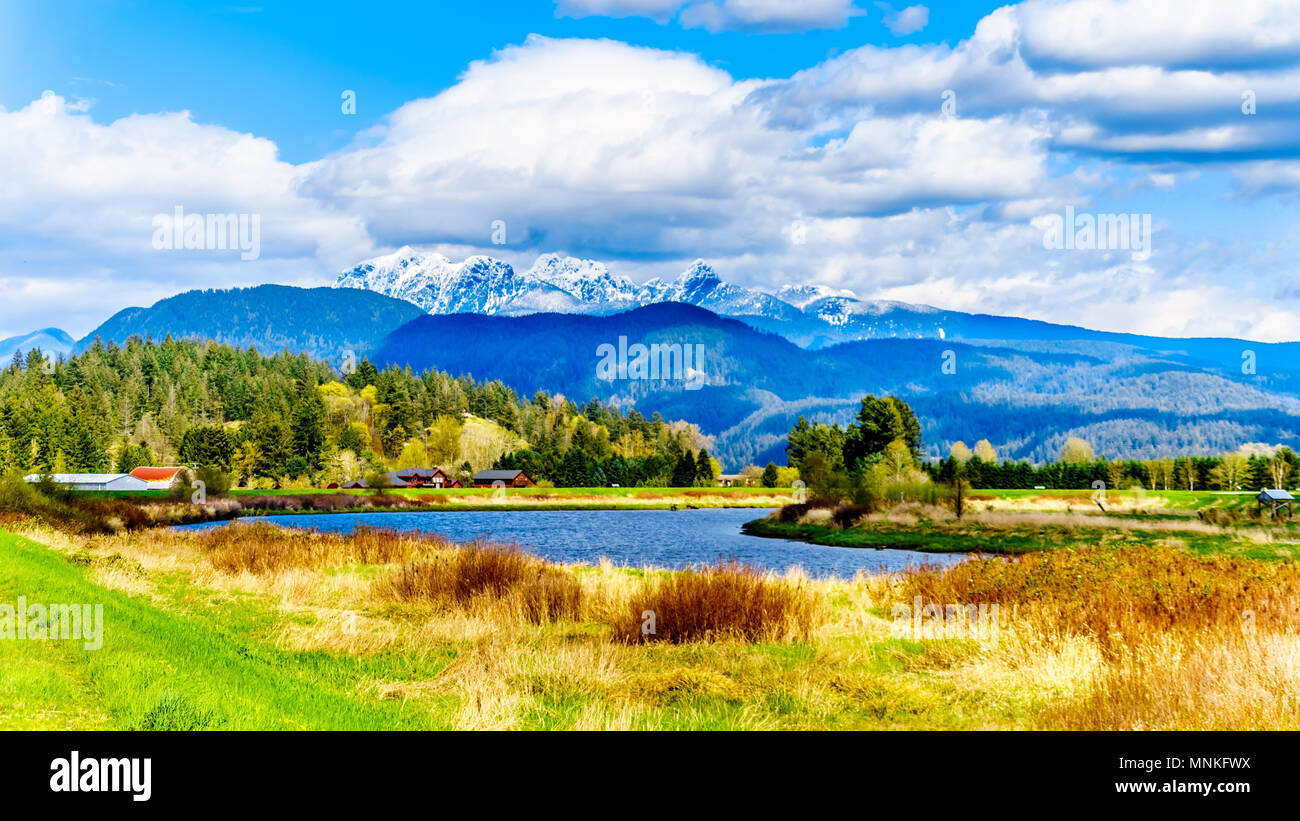 Landscape scenery with the Coast Mountains and the South Alouette River  while biking the dyke at Pitt Polder at Pitt Meadows, BC, Canada Stock  Photo - Alamy