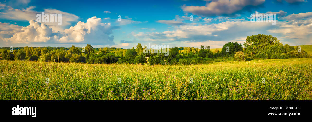 Russian summer meadow hi-res stock photography and images - Alamy