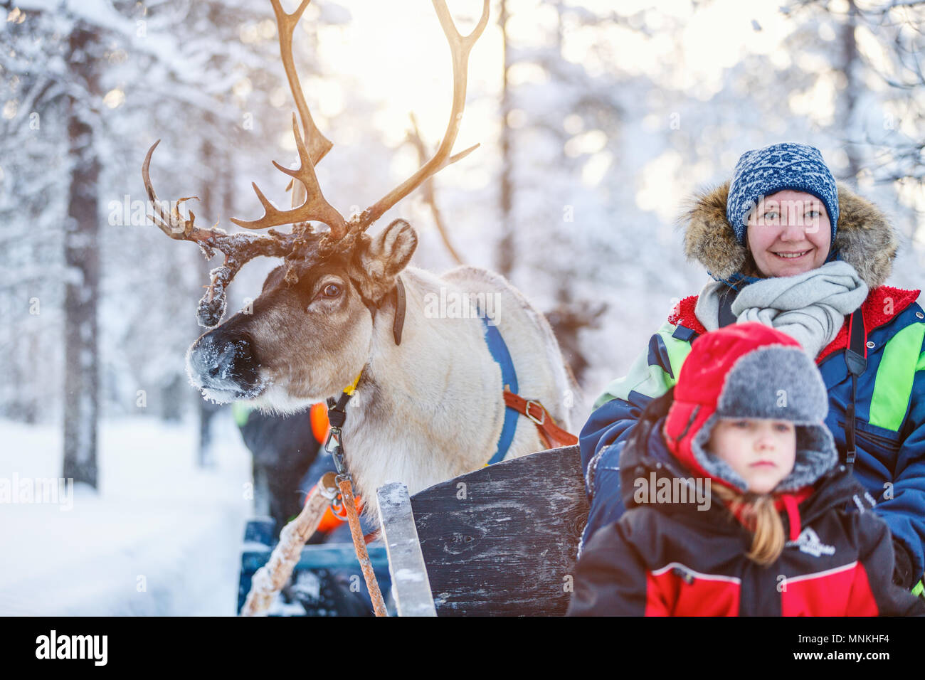 Family of mother and little girl at reindeer safari in winter forest in Lapland Finland Stock Photo