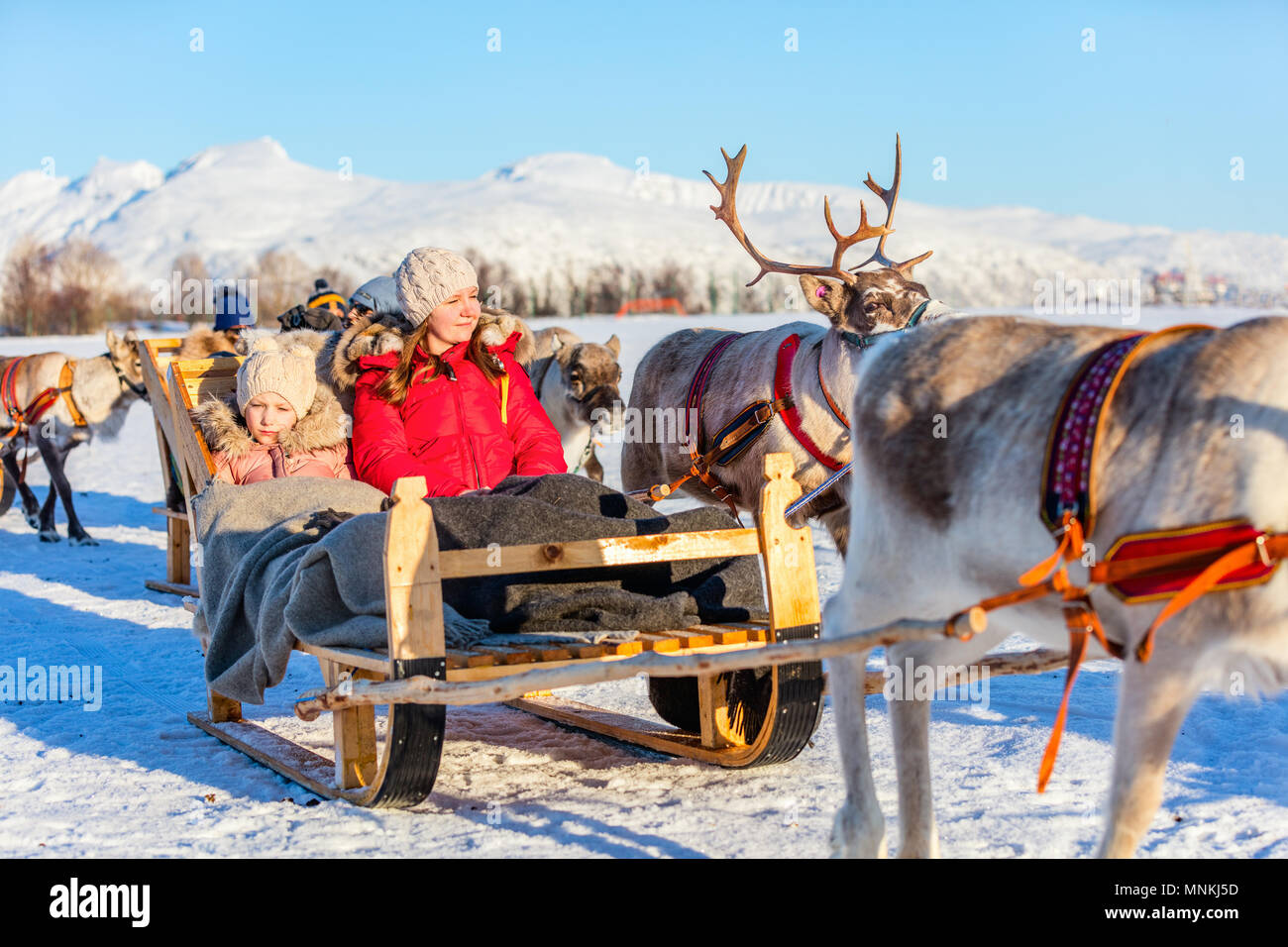 Family of mother and her daughter at reindeer safari on sunny winter day in Northern Norway Stock Photo
