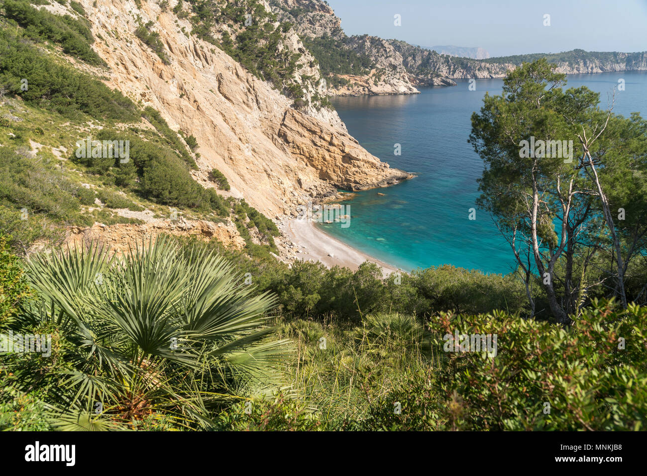 Halbinsel Victoria, Mallorca, Balearen, Spanien  |  Victoria peninsula,  Majorca, Balearic Islands, Spain, Stock Photo