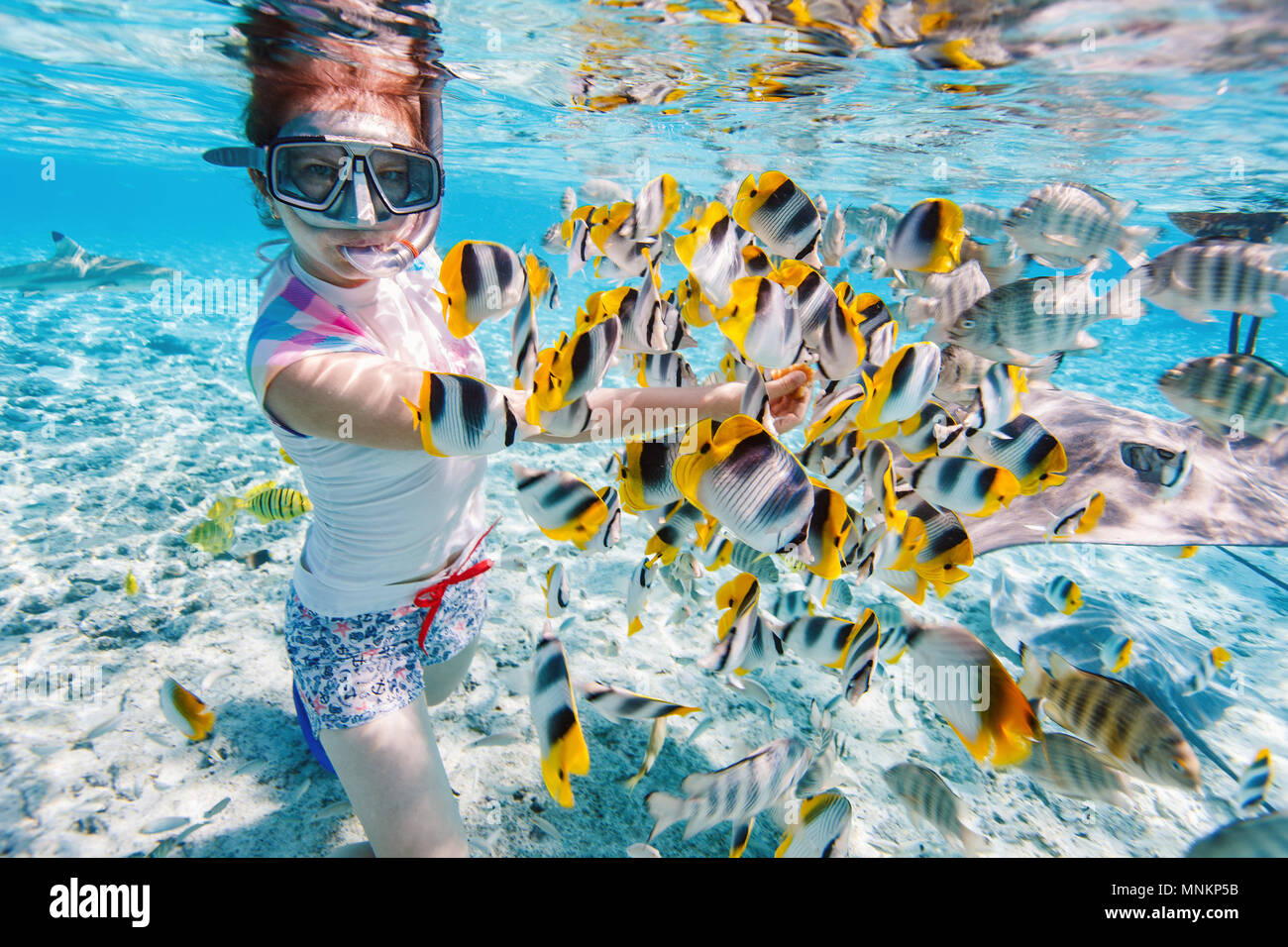 Woman snorkeling in clear tropical waters among colorful fish Stock Photo
