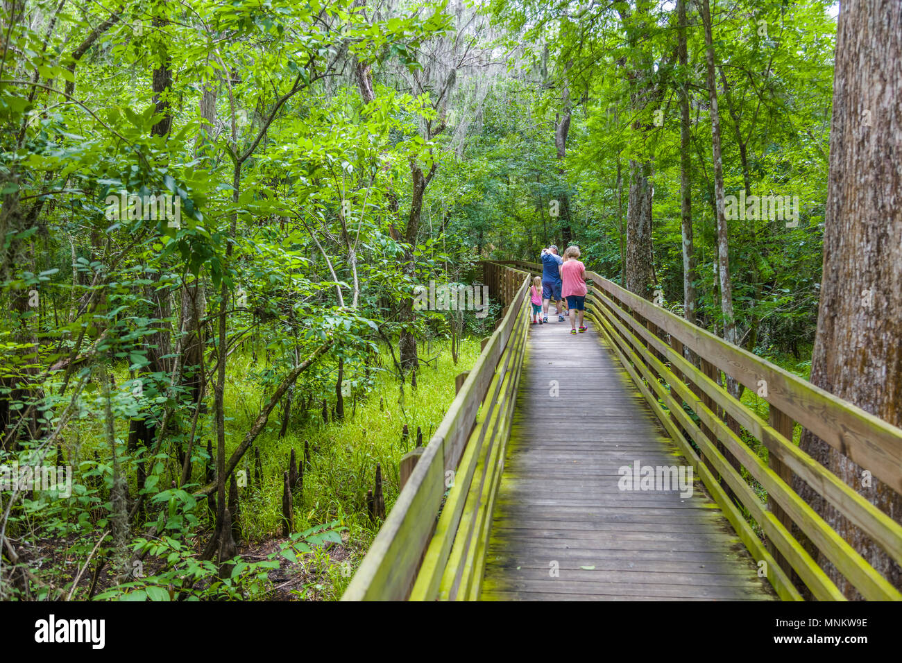 Couple on ood Boardwalk in Lettuce Lake Regional Park in Hillsborough