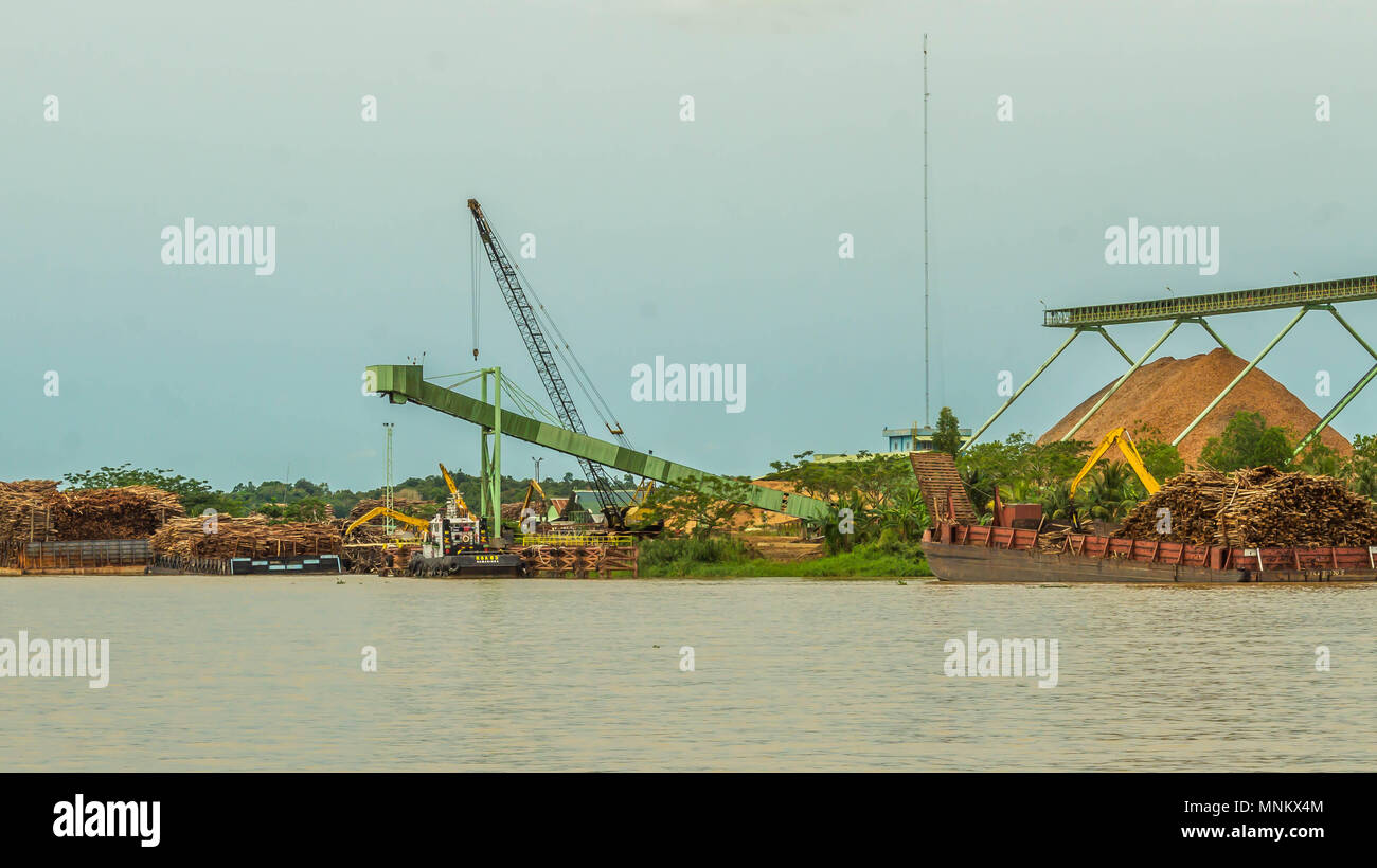 Stockpiling Factory wood chip factory on Mahakam riverbank with conveyor and stockpile ...