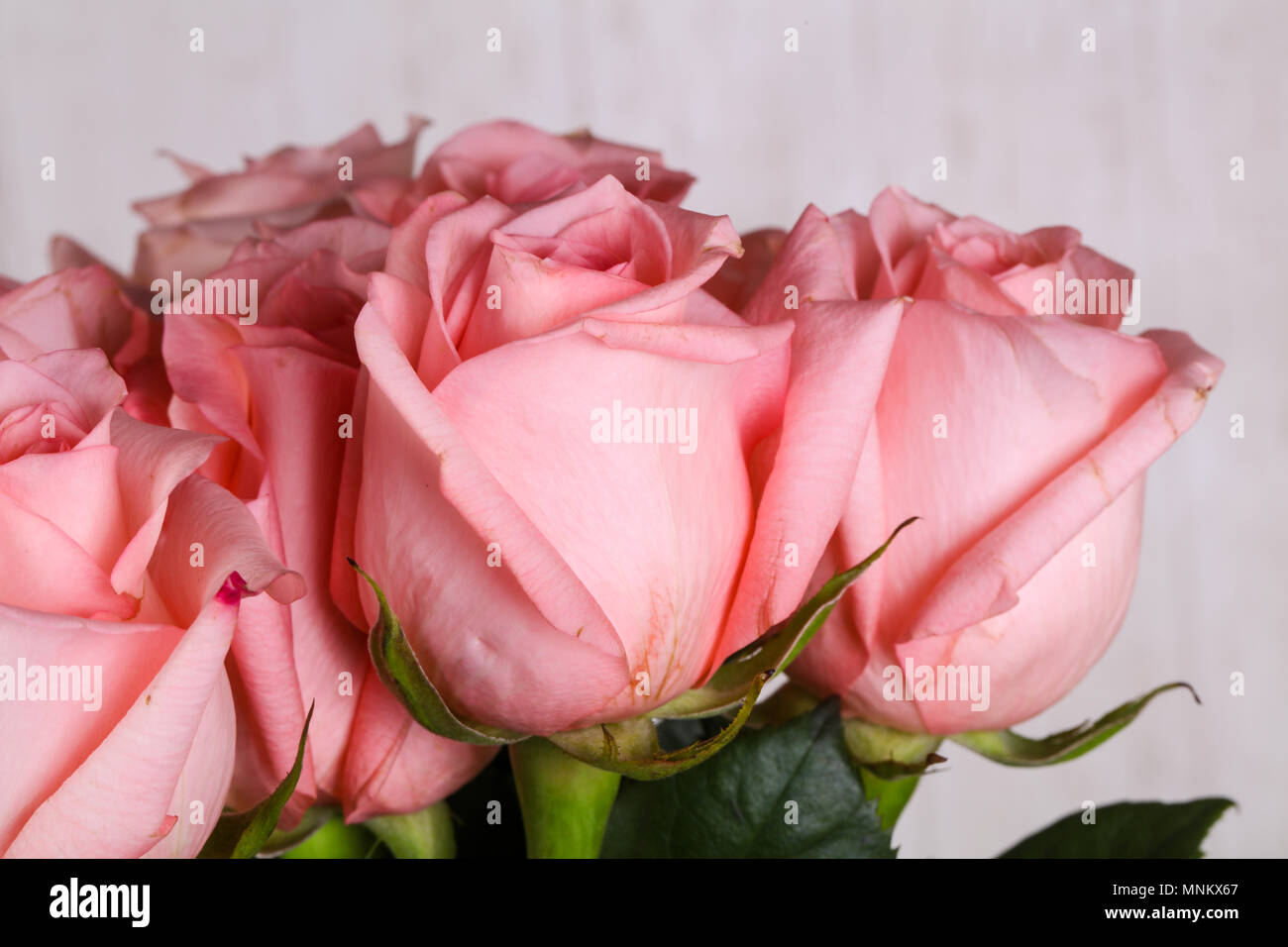 Pink roses bouquet isolated on white background Stock Photo - Alamy