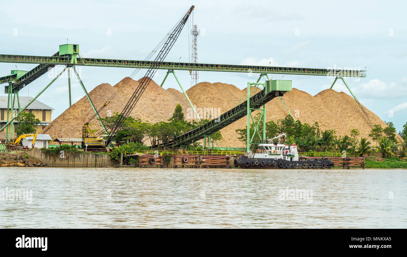 Stockpiling Factory wood chip factory on Mahakam riverbank with conveyor and stockpile ...
