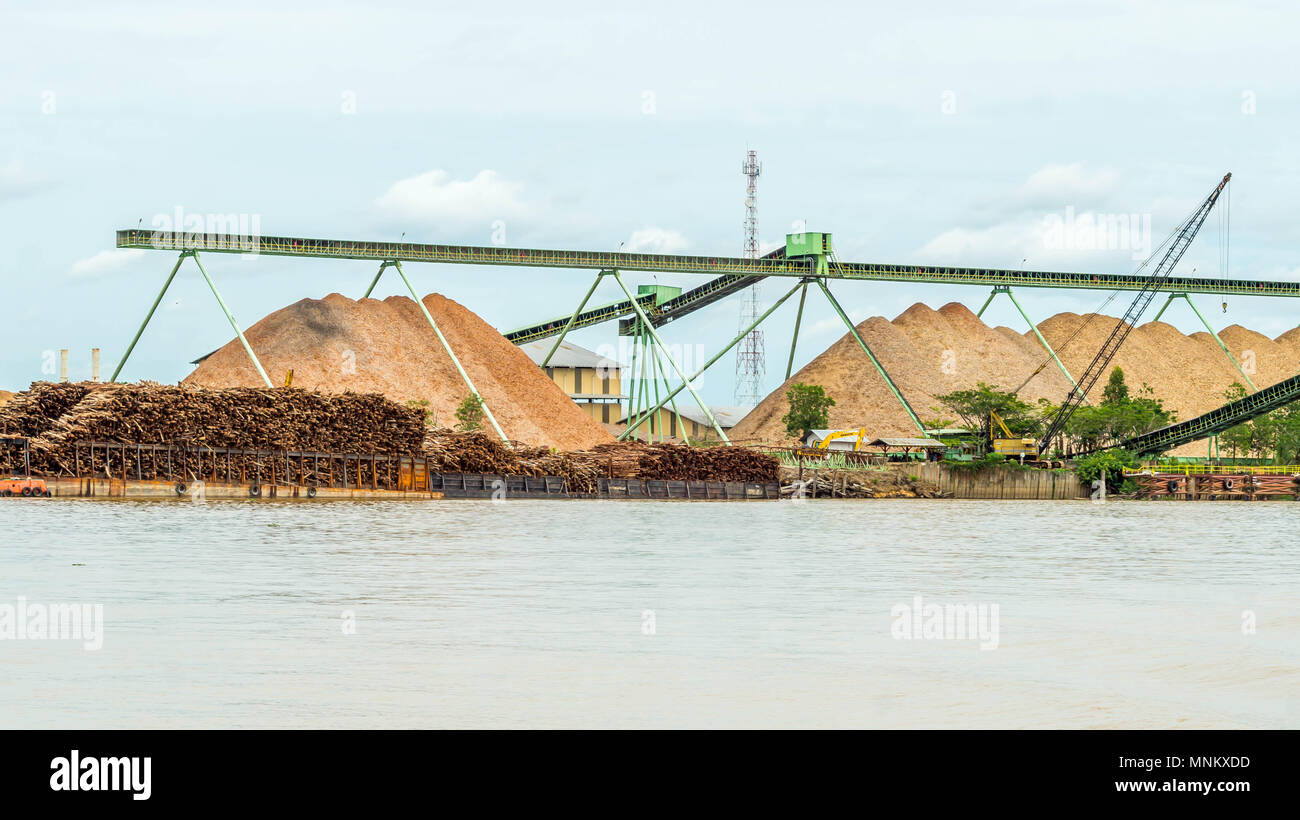 Stockpiling Factory wood chip factory on Mahakam riverbank with conveyor and stockpile ...