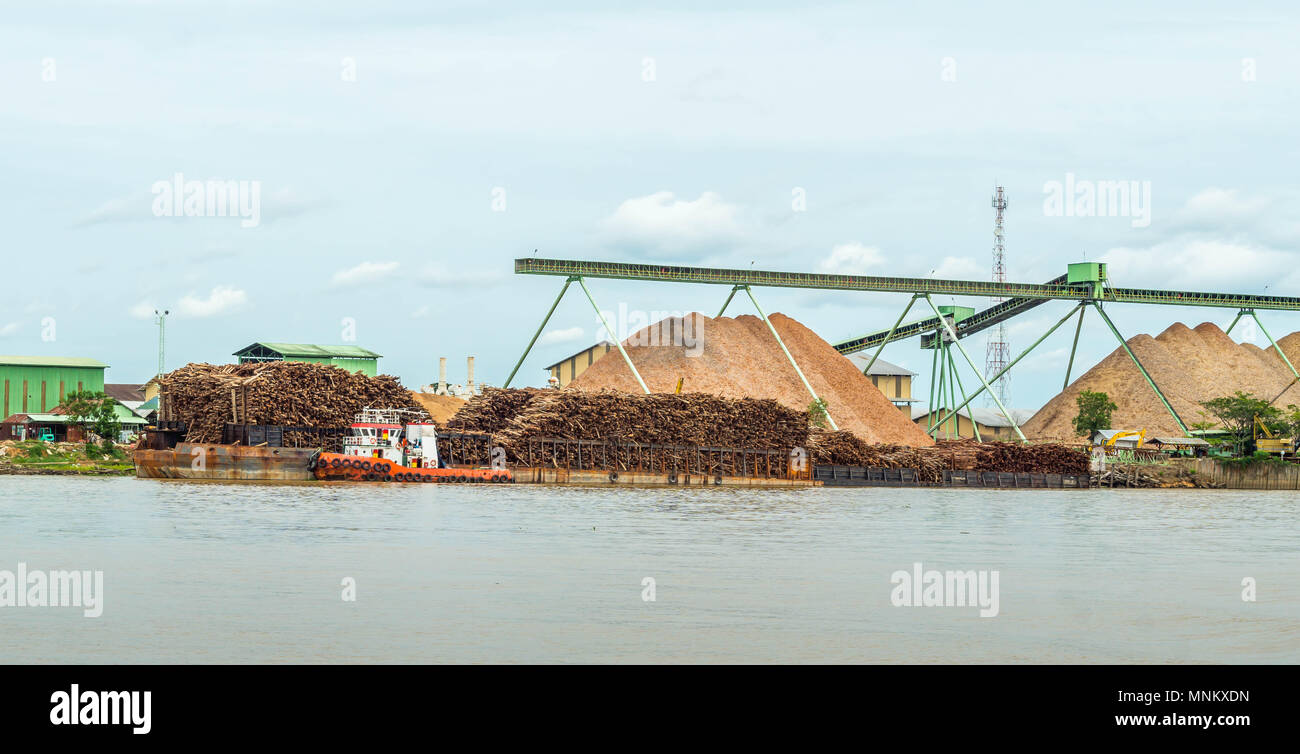 Stockpiling Factory wood chip factory on Mahakam riverbank with conveyor and stockpile ...