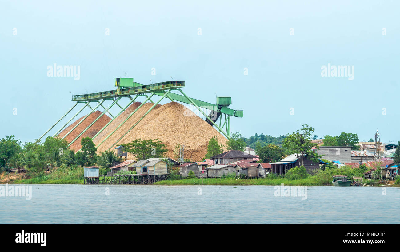 Stockpiling Factory ood chip factory on Mahakam riverbank with conveyor and stockpile ...