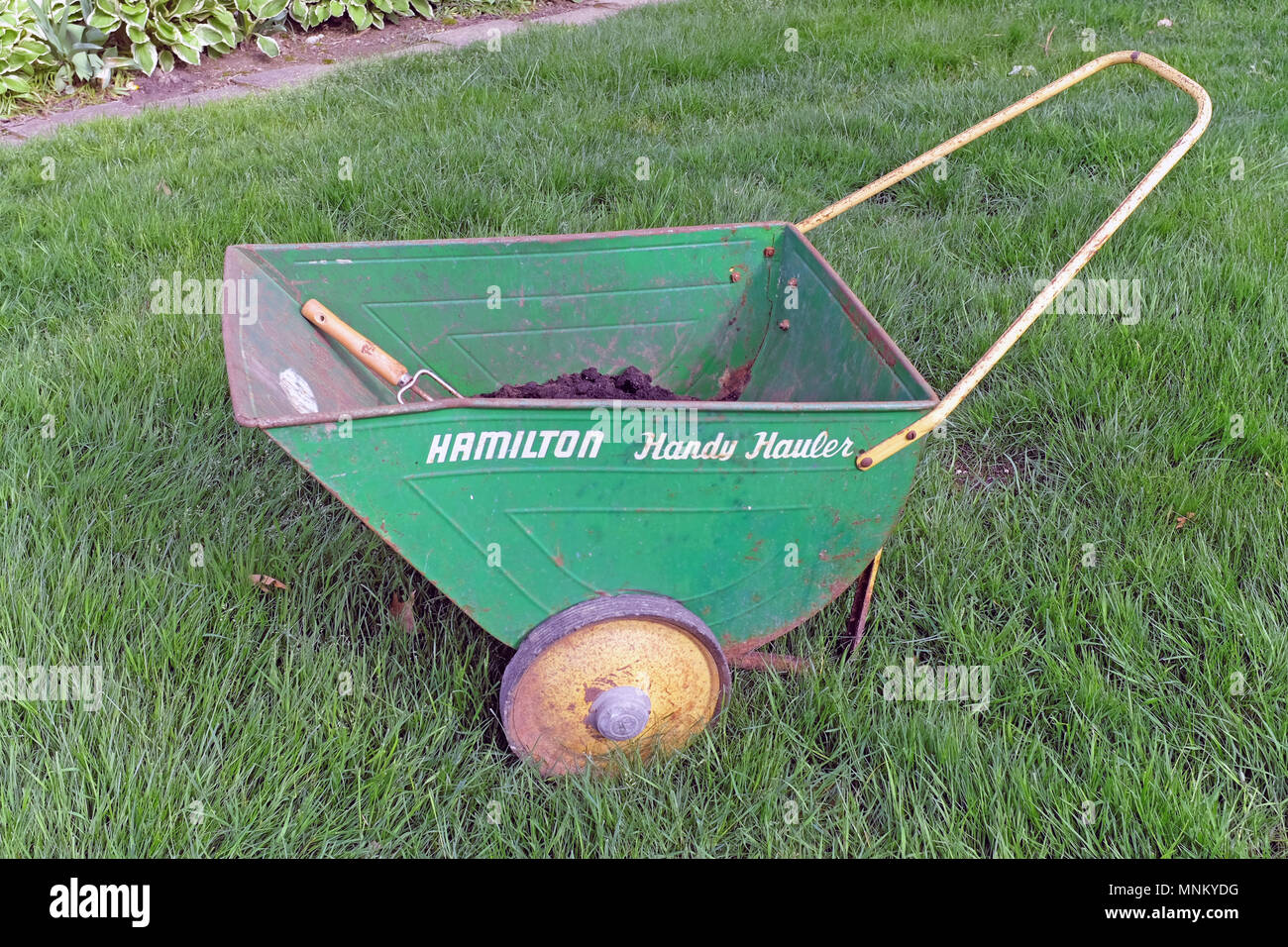 An old-fashioned Hamilton Handy Hauler wheelbarrow used for yardwork in a retro green color rests in a flourishing lawn of Kentucky Rye grass in Ohio. Stock Photo