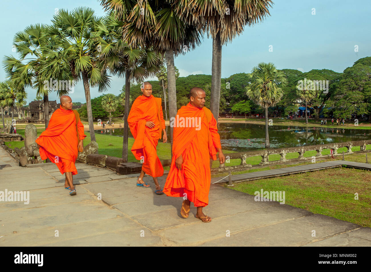 Theravada Buddhist monks wear uttarasanga robes a.k.a. kashaya robes. Orange colour indicates monks from Southeast Asia. Siem Reap, Cambodia. Stock Photo