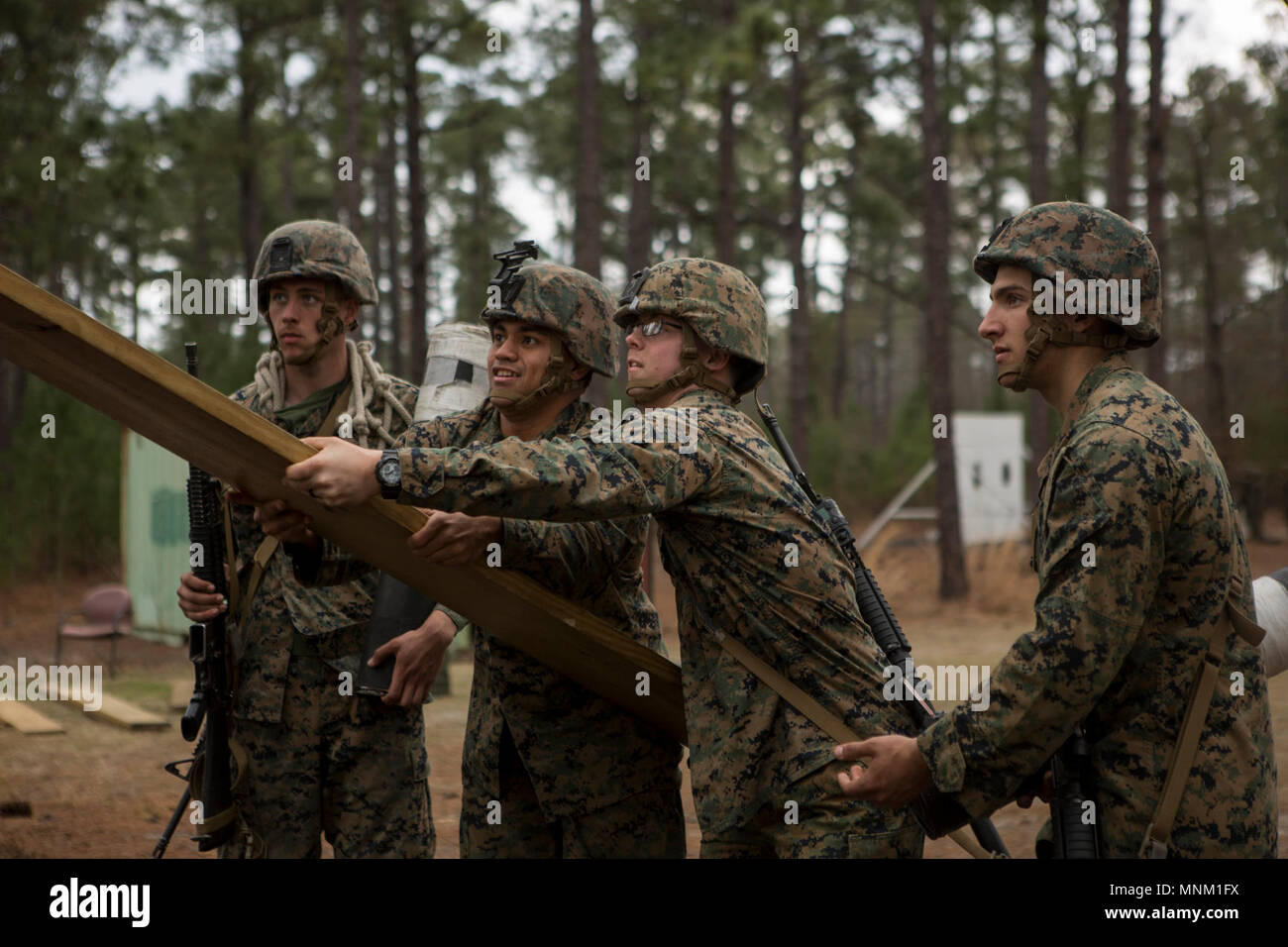 Sections enhance hi-res stock photography and images - Alamy