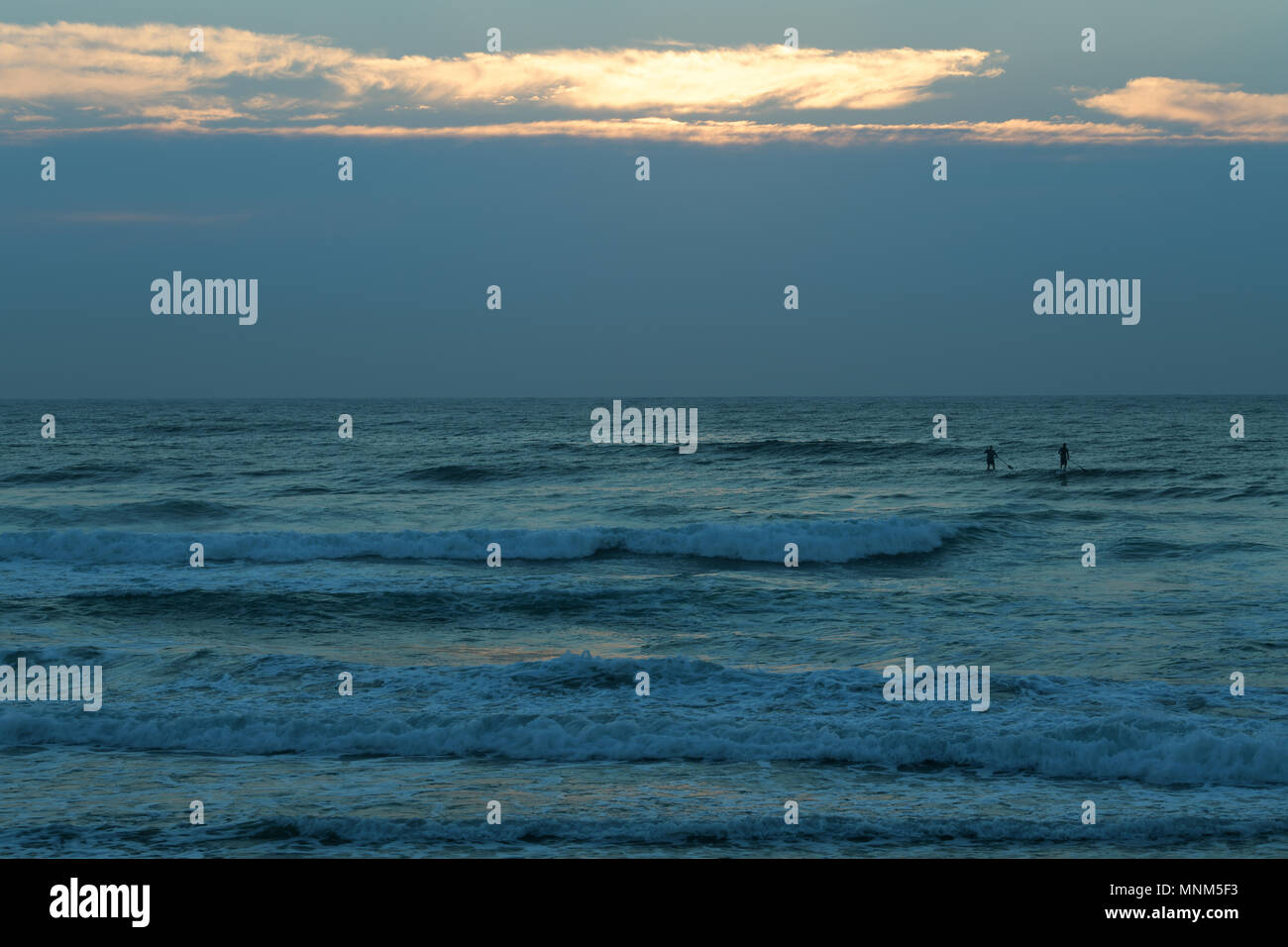Two male stand up paddle boarders enjoying ideal sea conditions on a