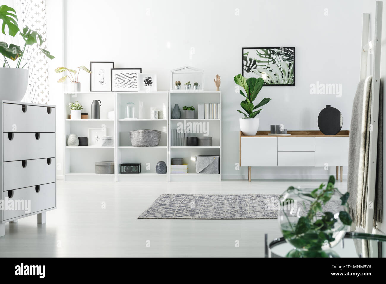 Bright room interior with shelves, plants, cupboard and decorations Stock Photo
