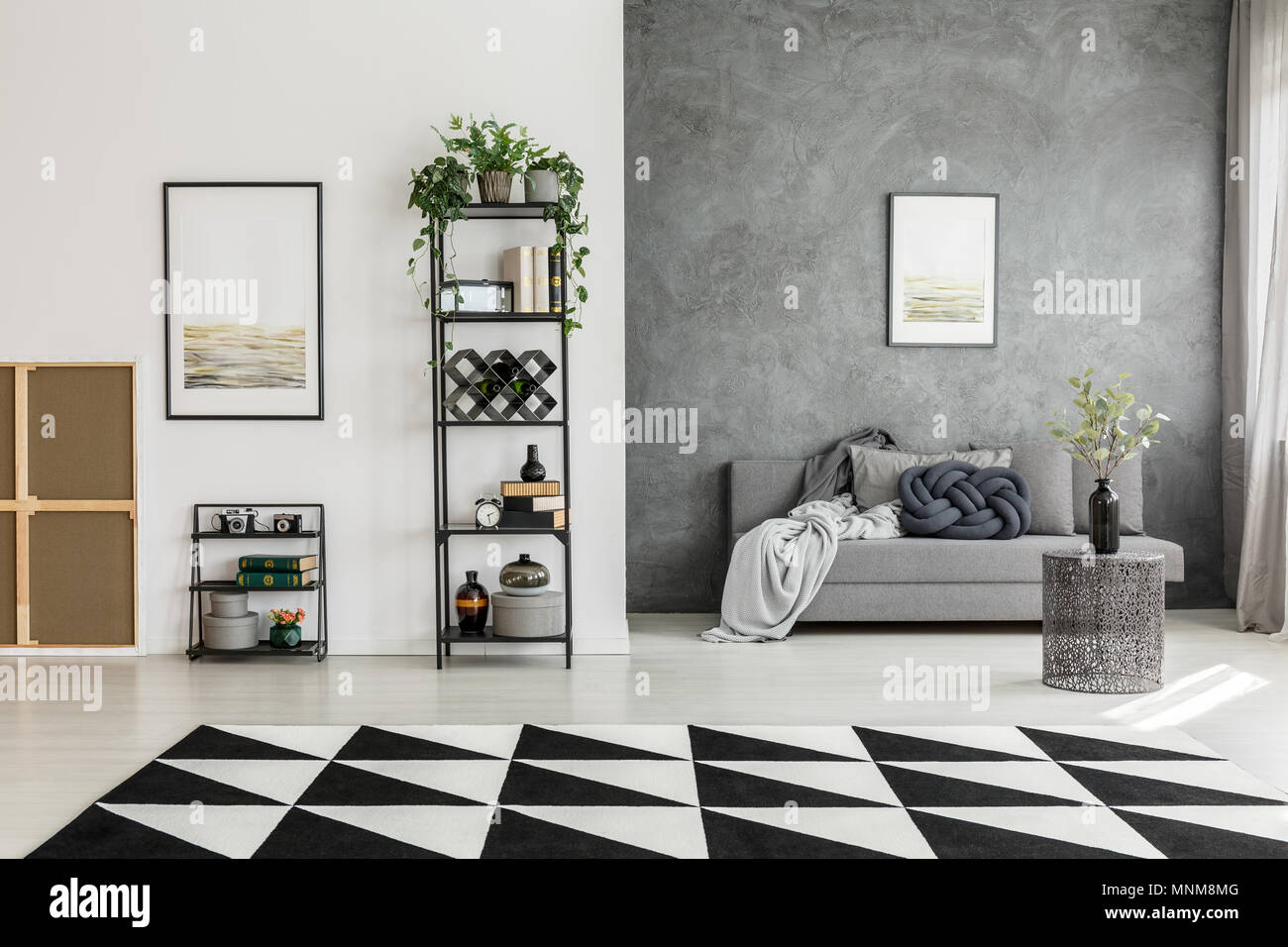 Black and white carpet in spacious living room with posters, grey sofa and  contrast colors walls Stock Photo - Alamy
