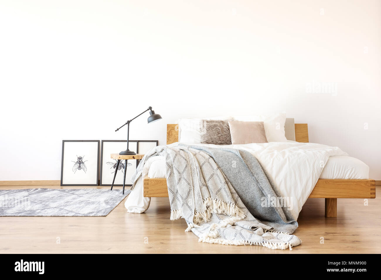 Bed bugs bed hi-res stock photography and images - Page 3 - Alamy
