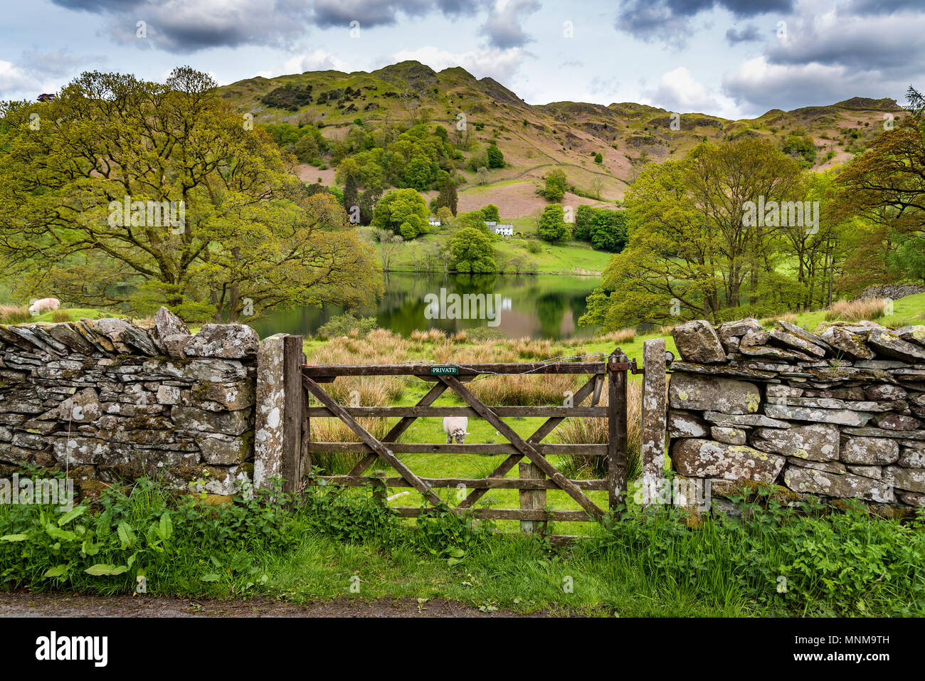 Lakeland country cottage. Loughrigg Tarn Stock Photo
