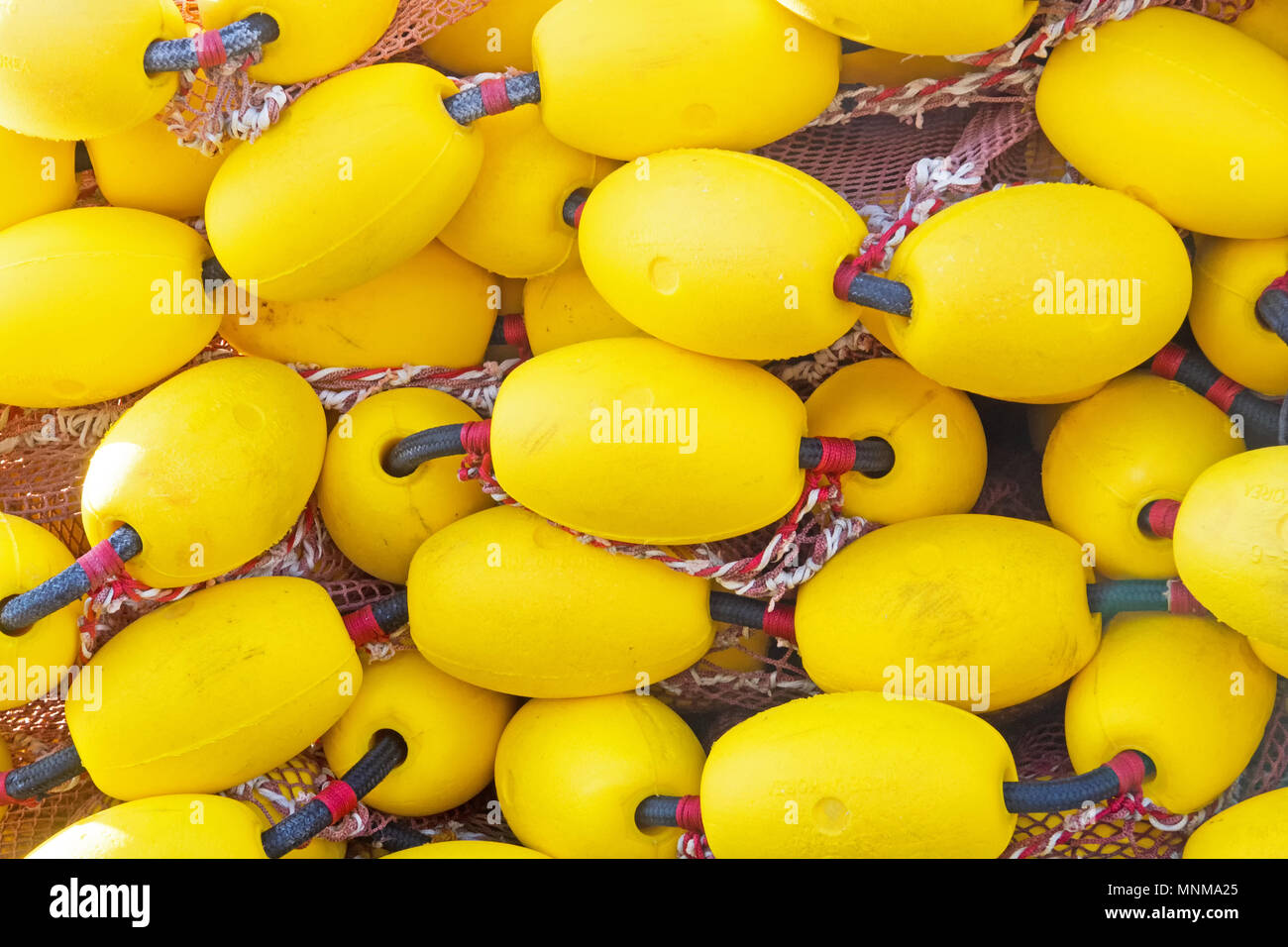 Yellow Lab Floaties Float gauges hi-res stock photography and images - Alamy