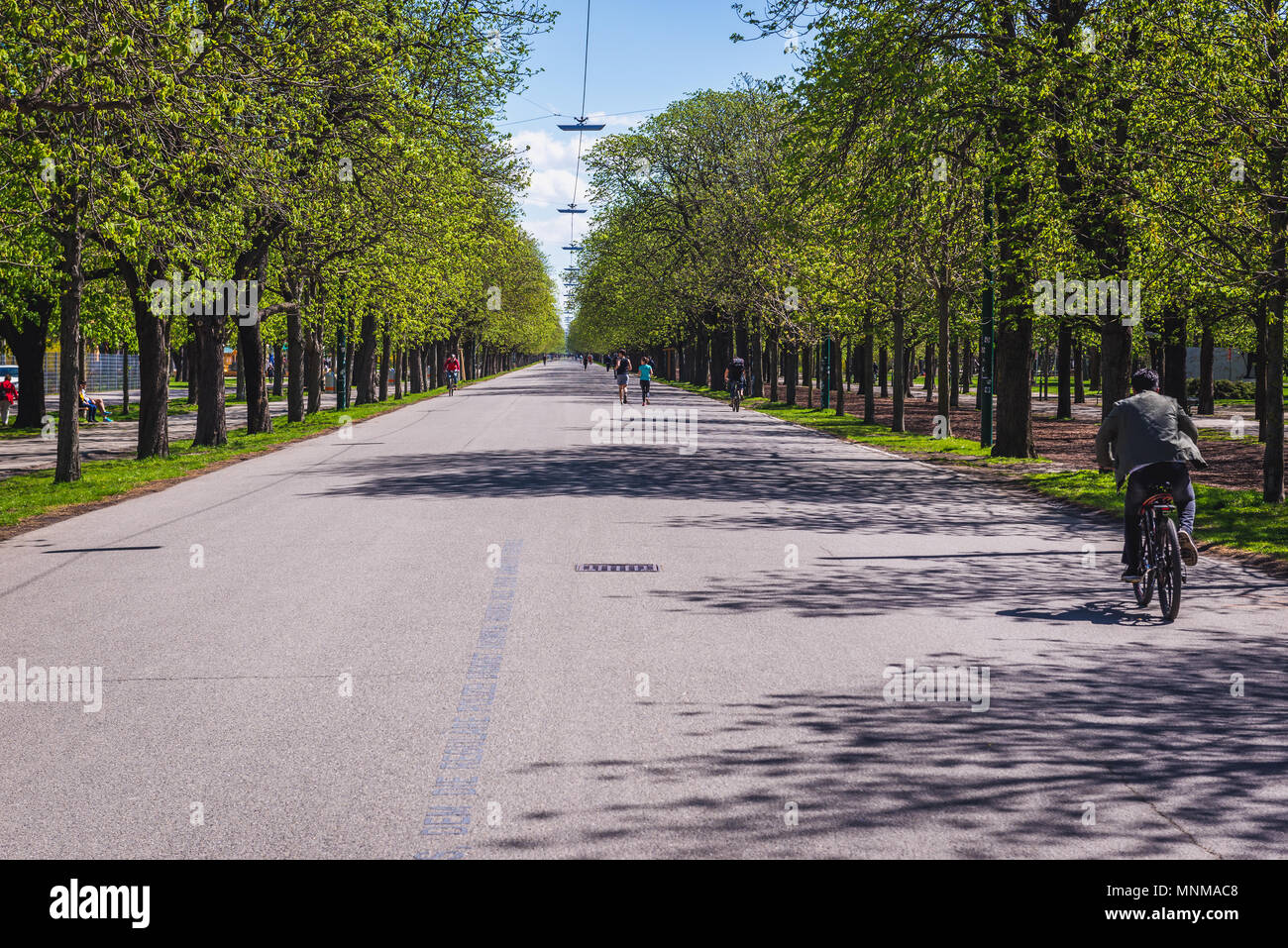 Main alley called Hauptallee in Prater Park in Vienna, Austria Stock Photo