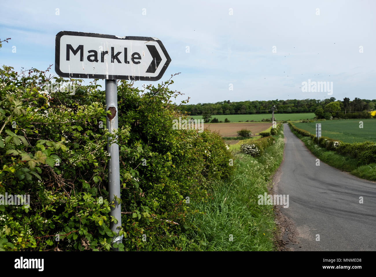 Markle hires stock photography and images Alamy