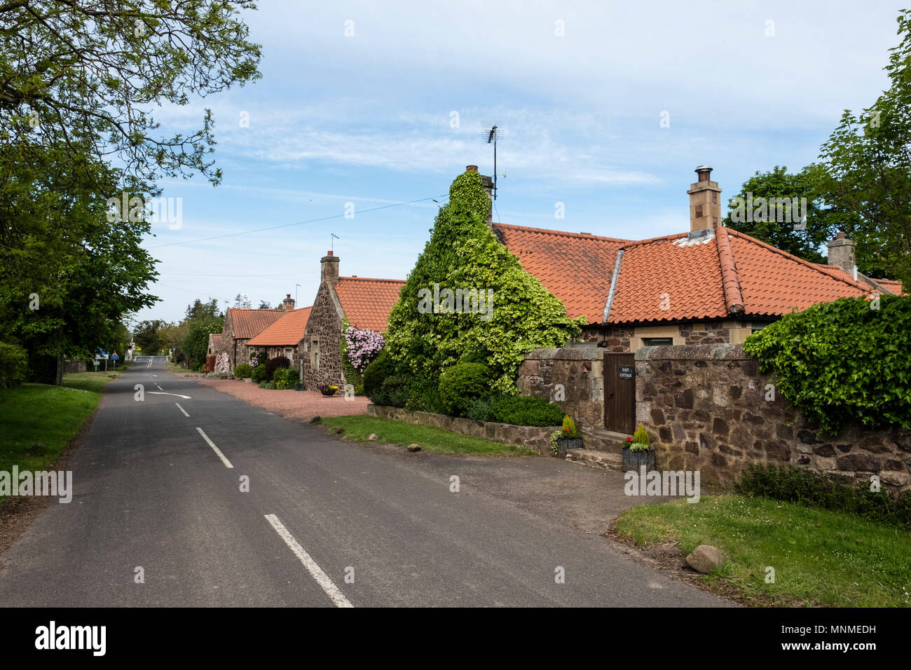 Markle hires stock photography and images Alamy