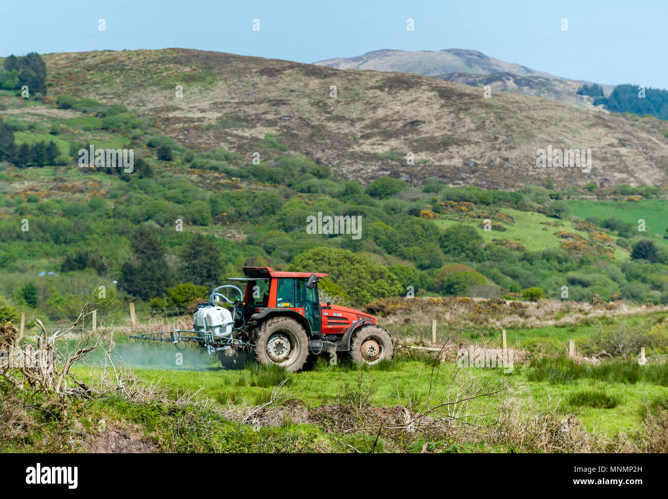Ballydehob, Ireland. 18th May, 2018. On a hot and sunny day, a Durrus ...