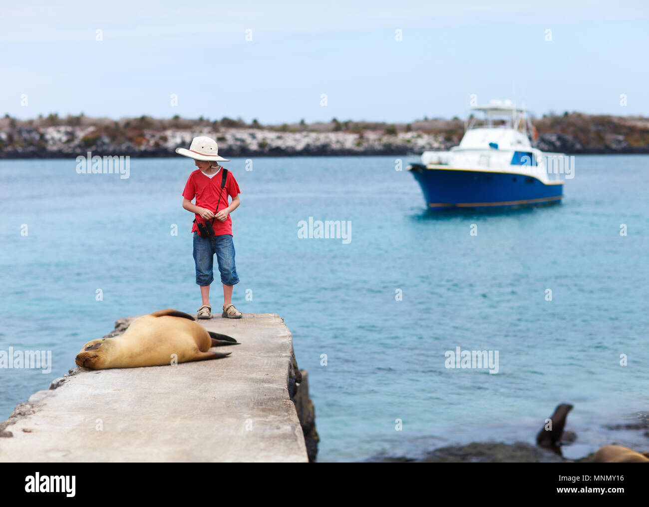 Female sea lion relaxing close to a boy at coast of South Plaza island Galapagos Stock Photo