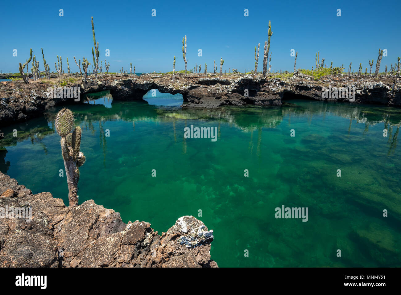 Los Tuneles, or The Tunnels, Isabela Island, Galapagos Islands, Ecuador