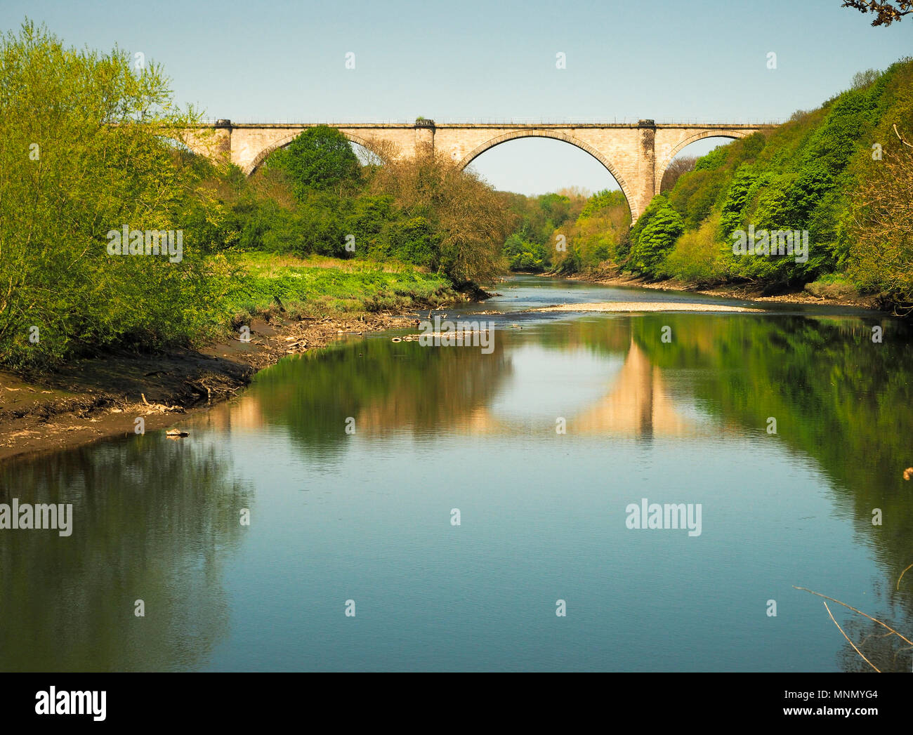 Victoria Viaduct carrying a disused railway line over the River Wear near Fatfield, Co Durham, England Stock Photo