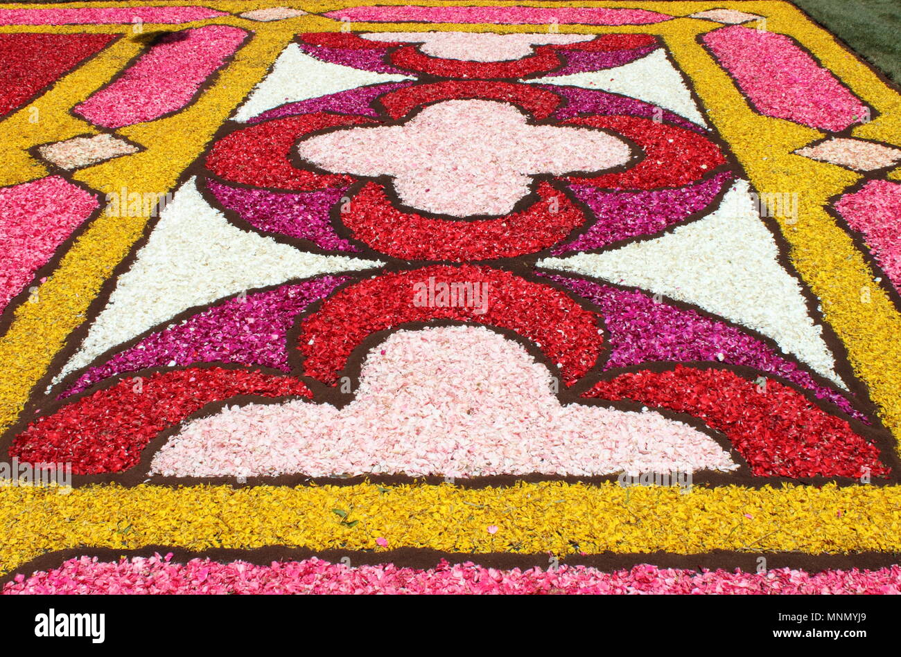 GENZANO, ITALY - JUNE 18: Floral Carpet in the Main Street on June 18, 2017 in Genzano, Italy. This event takes place every year and almost 350.000 fl Stock Photo