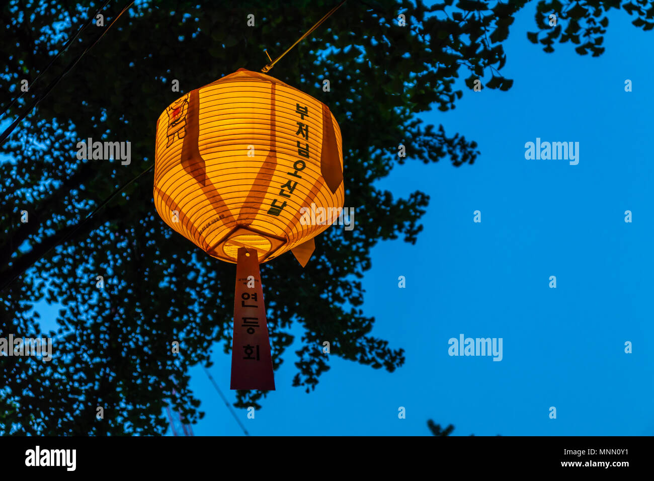 A lantern at a Buddhist Temple in Seoul, South Korea at the Lotus Lantern Festival in celebration of Buddha's birthday. Stock Photo