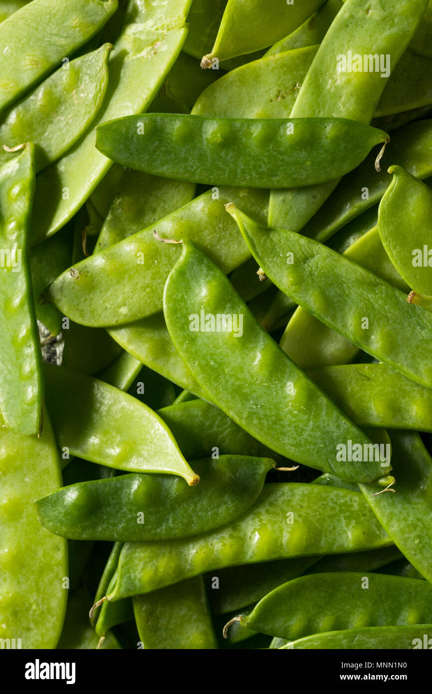 Raw Green Organic Snow Peas Ready to Eat Stock Photo Alamy