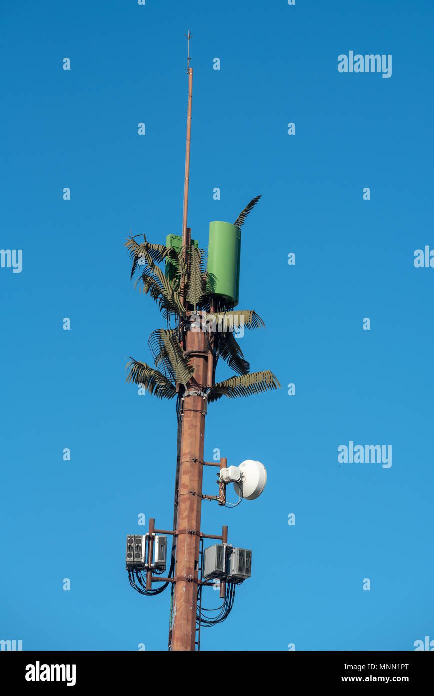 Communications tower with fake palm fronds, Puerto Ayora, Santa Cruz Island, Galapagos Islands, Ecuador. Stock Photo