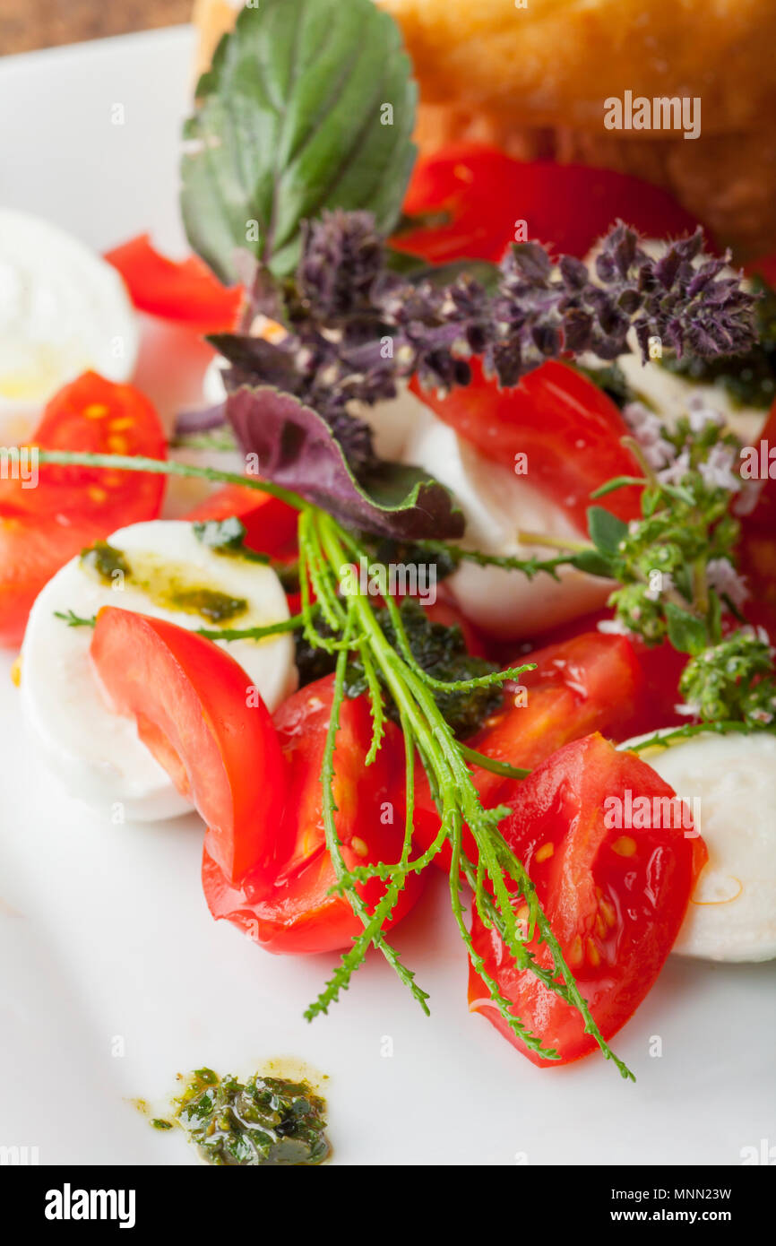 closeup of an insalada caprese with herbs Stock Photo