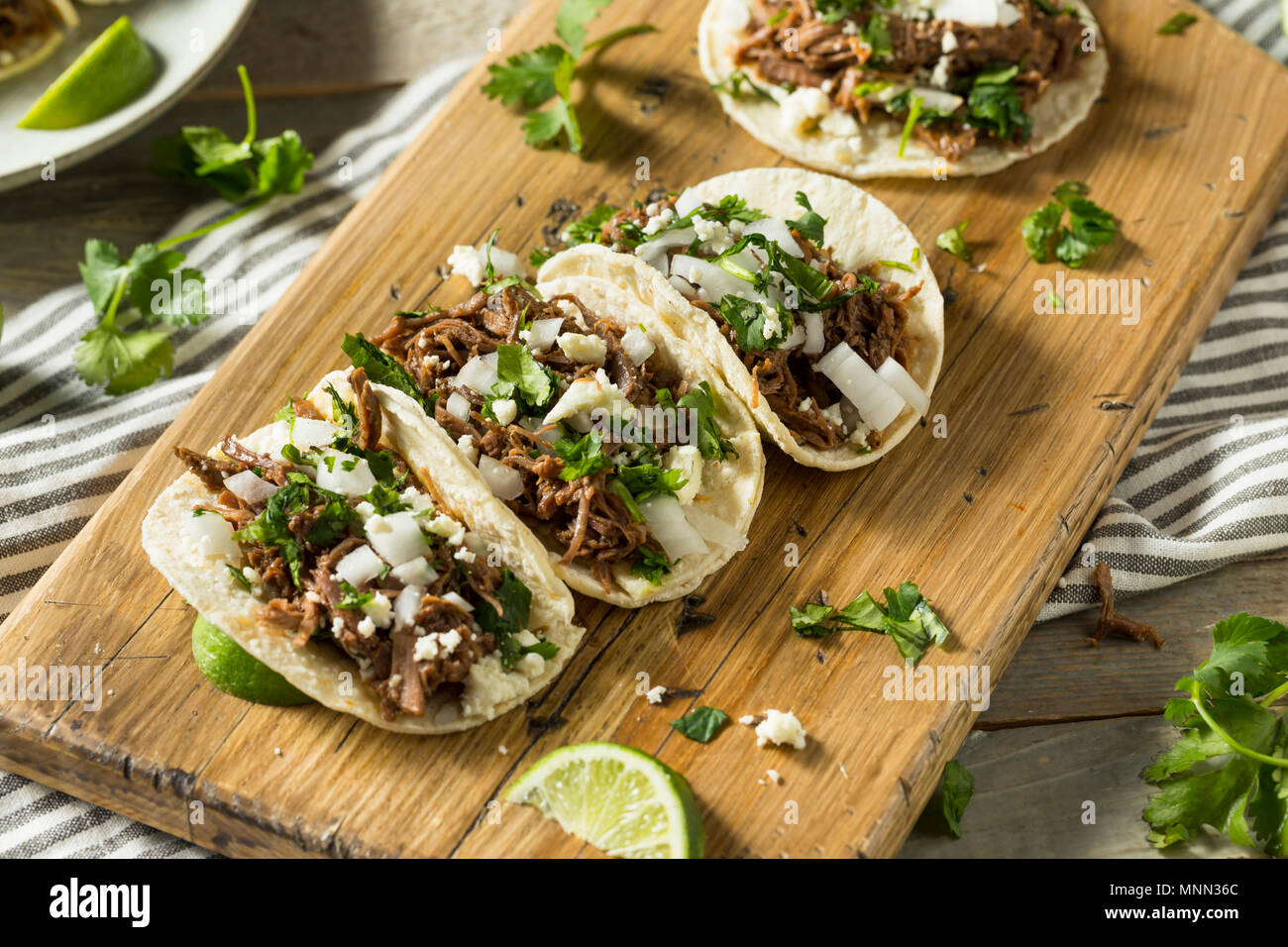 Spicy Homemade Beef Barbacoa Tacos with Cilantro Cheese and Onion Stock