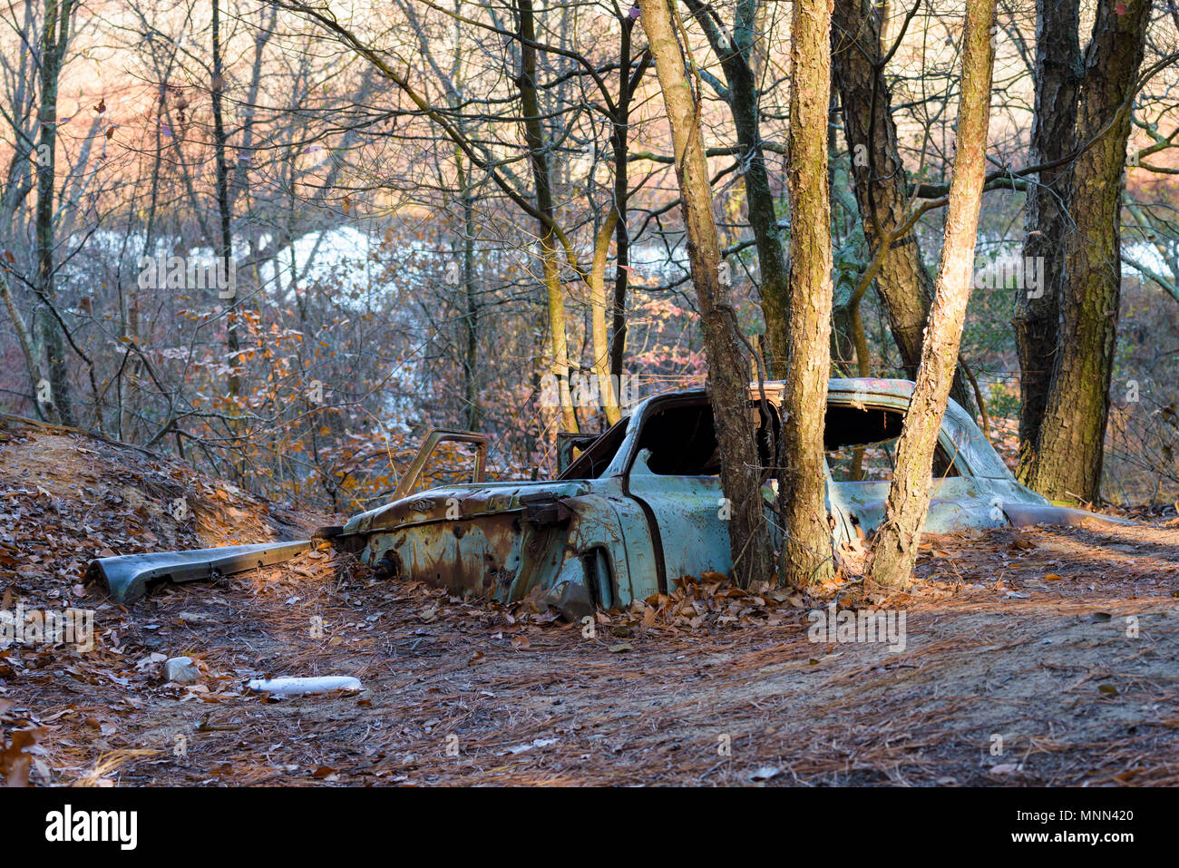Fall scenery in Tuckahoe State Park, Ridgely, Maryland Stock Photo Alamy