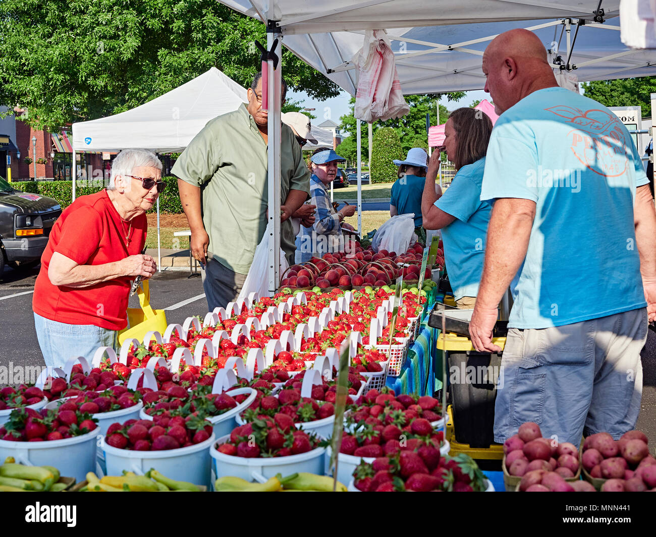 Senior or elderly woman shopping for fresh produce at a local farmer's market in Montgomery Alabama, USA. Stock Photo