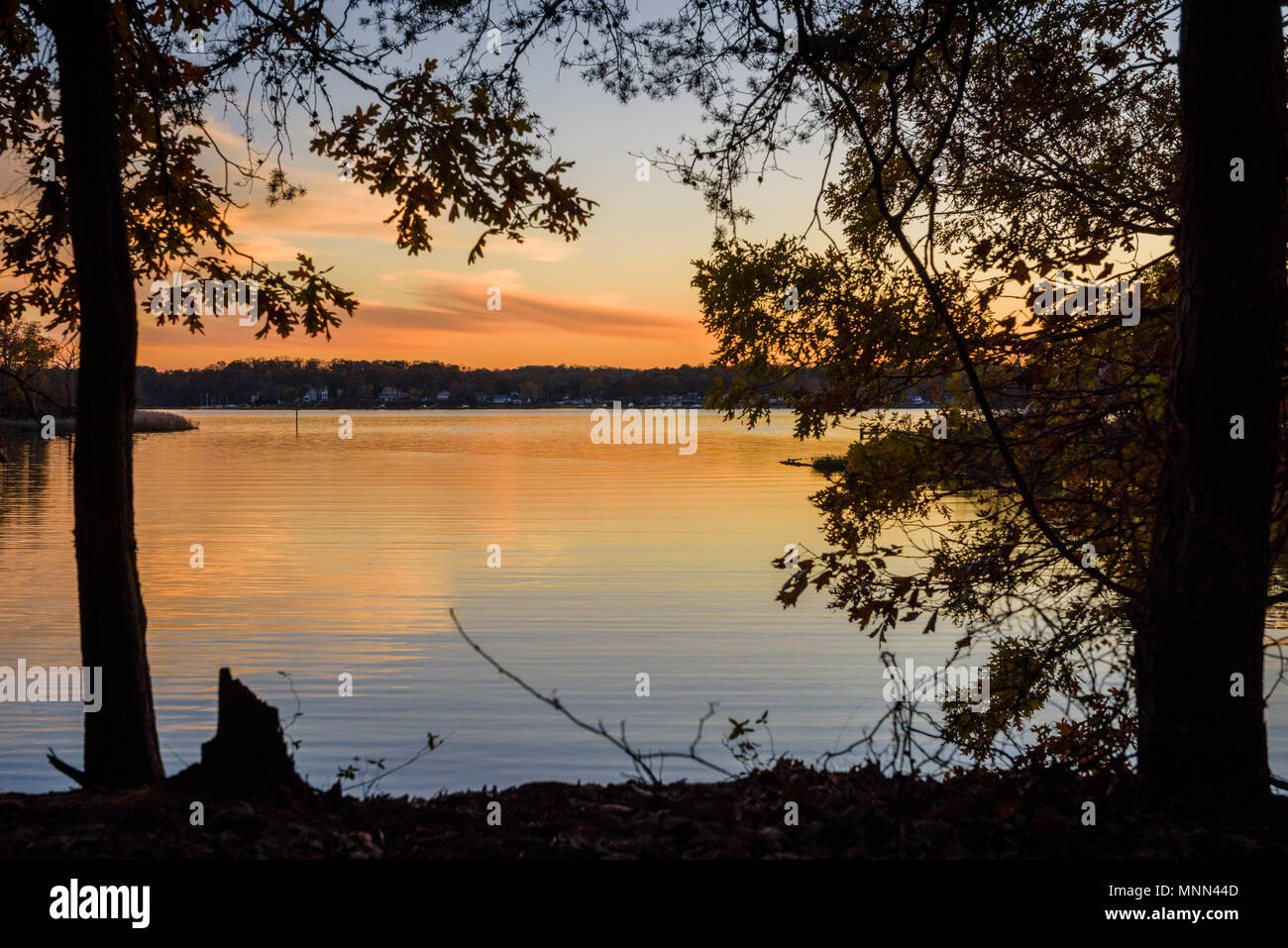Fall scenery in along Harness Creek in Quiet Waters Park near Annapolis ...