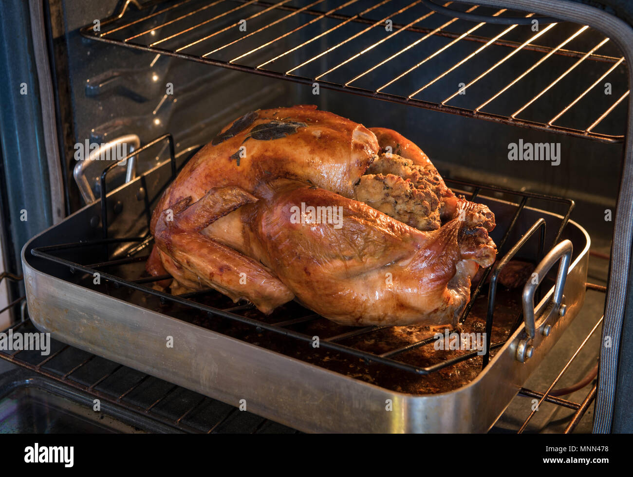 Traditional holiday meal, oven roasted turkey. Stock Photo