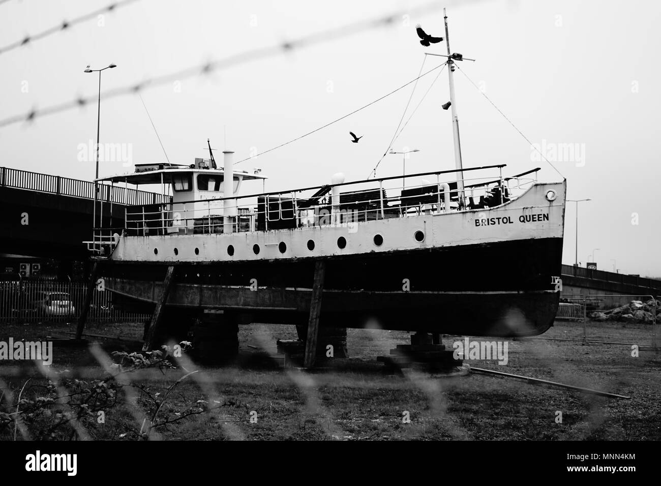 Boat in dry dock with birds alighting on it, in black and white Stock Photo