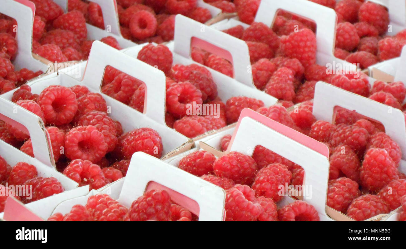 Closeup of fresh red raspberries in white baskets in Antibes, France